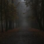 08.11.2020 Kielce. Poranna mgła / Robert Felczak / Radio Kielce