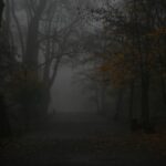 08.11.2020 Kielce. Poranna mgła / Robert Felczak / Radio Kielce