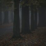 08.11.2020 Kielce. Poranna mgła / Robert Felczak / Radio Kielce