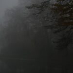 08.11.2020 Kielce. Poranna mgła / Robert Felczak / Radio Kielce