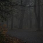 08.11.2020 Kielce. Poranna mgła / Robert Felczak / Radio Kielce