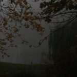 08.11.2020 Kielce. Poranna mgła / Robert Felczak / Radio Kielce