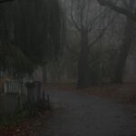 08.11.2020 Kielce. Poranna mgła / Robert Felczak / Radio Kielce