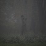 08.11.2020 Kielce. Poranna mgła / Robert Felczak / Radio Kielce