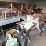 01.11.2020. Kózki. Eksponaty, które udało się zebrać w ramach tworzenia izby / Marta Gajda / Radio Kielce