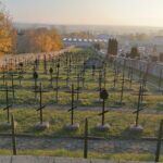 01.11.2020. Pińczów. Cmentarz wojenny / Marta Gajda / Radio Kielce