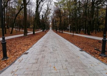 11.11.2020 Busko-Zdrój. Rewitalizacja parku zdrojowego / Marta Gajda / Radio Kielce