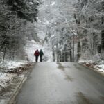 29.11.2020. Świętokrzyski Park Narodowy w zimowej szacie / Robert Felczak / Radio Kielce