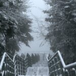 29.11.2020. Świętokrzyski Park Narodowy w zimowej szacie / Robert Felczak / Radio Kielce