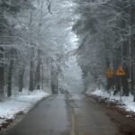 29.11.2020. Świętokrzyski Park Narodowy w zimowej szacie / Robert Felczak / Radio Kielce