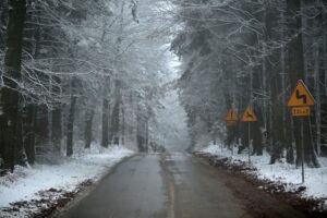 29.11.2020. Świętokrzyski Park Narodowy w zimowej szacie / Robert Felczak / Radio Kielce