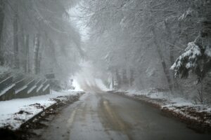 29.11.2020. Świętokrzyski Park Narodowy w zimowej szacie / Robert Felczak / Radio Kielce