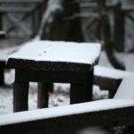 29.11.2020. Świętokrzyski Park Narodowy w zimowej szacie / Robert Felczak / Radio Kielce