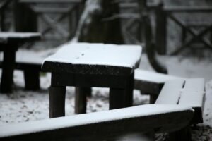 29.11.2020. Świętokrzyski Park Narodowy w zimowej szacie / Robert Felczak / Radio Kielce