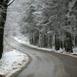 29.11.2020. Świętokrzyski Park Narodowy w zimowej szacie / Robert Felczak / Radio Kielce