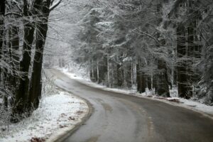 29.11.2020. Świętokrzyski Park Narodowy w zimowej szacie / Robert Felczak / Radio Kielce