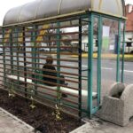 11.11.2020. Staszów. „Zielone przystanki” / Grażyna Szlęzak-Wójcik / Radio Kielce