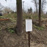 28.11.2020 Królewice. Uroczystość na cmentarzu wojennym z 1915 roku / Grażyna Szlęzak-Wójcik / Radio Kielce