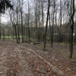 28.11.2020 Królewice. Uroczystość na cmentarzu wojennym z 1915 roku / Grażyna Szlęzak-Wójcik / Radio Kielce