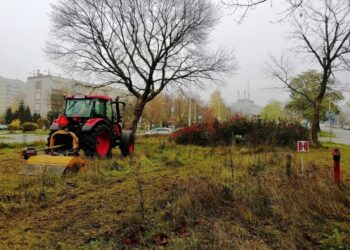 Kielce. Koszenie łąk kwietnych / UM Kielce