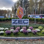 01.11.2010 Starachowice. Kwiaty odkupione od lokalnych sprzedawców przez urząd miejski zdobią miasto / Marek Materek/ facebook