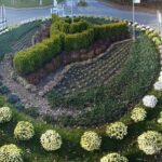 01.11.2010 Starachowice. Kwiaty odkupione od lokalnych sprzedawców przez urząd miejski zdobią miasto / Marek Materek/ facebook