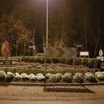 01.11.2010 Starachowice. Kwiaty odkupione od lokalnych sprzedawców przez urząd miejski zdobią miasto / Marek Materek/ facebook