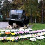 01.11.2010 Starachowice. Kwiaty odkupione od lokalnych sprzedawców przez urząd miejski zdobią miasto / Marek Materek/ facebook