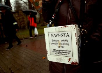 Kwesta - ratujmy zabytki kieleckich cmentarz / Fot. Radio Kielce