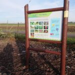 28.11.2020 Niemienice. Ścieżka edukacyjna i terapeutyczna / Emilia Sitarska / Radio Kielce