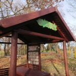 28.11.2020 Niemienice. Ścieżka edukacyjna i terapeutyczna / Emilia Sitarska / Radio Kielce