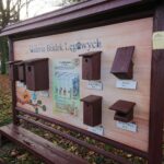 28.11.2020 Niemienice. Ścieżka edukacyjna i terapeutyczna / Emilia Sitarska / Radio Kielce