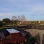 28.11.2020 Niemienice. Ścieżka edukacyjna i terapeutyczna / Emilia Sitarska / Radio Kielce