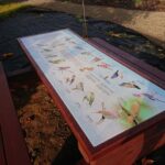 28.11.2020 Niemienice. Ścieżka edukacyjna i terapeutyczna / Emilia Sitarska / Radio Kielce