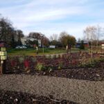 28.11.2020 Niemienice. Ścieżka edukacyjna i terapeutyczna / Emilia Sitarska / Radio Kielce