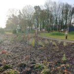 28.11.2020 Niemienice. Ścieżka edukacyjna i terapeutyczna / Emilia Sitarska / Radio Kielce