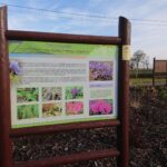 28.11.2020 Niemienice. Ścieżka edukacyjna i terapeutyczna / Emilia Sitarska / Radio Kielce