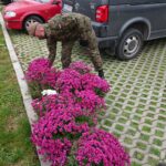 07.11.2020. Opatów. Chryzantemy w miejscach pamięci / Emilia Sitarska / Radio Kielce