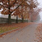 01.11.2020. Ostrowiec Św. Cmentarz komunalny od strony ul. Granicznej / Emilia Sitarska / Radio Kielce