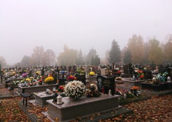 W Ostrowcu dbają o groby osób, które nie miały rodziny - Radio Kielce 01.11.2020. Ostrowiec Św. Cmentarz komunalny od strony ul. Granicznej / Emilia Sitarska / Radio Kielce