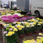 01.11.2020. Ostrowiec Św. Parking cmentarza komunalnego od strony ul. Długiej / Emilia Sitarska / Radio Kielce