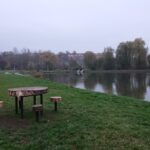 22.11.2020 Ostrowiec Świętokrzyski. Stacja edukacyjna - drugie życie drzewa / Emilia Sitarska / Radio Kielce