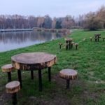 22.11.2020 Ostrowiec Świętokrzyski. Stacja edukacyjna - drugie życie drzewa / Emilia Sitarska / Radio Kielce