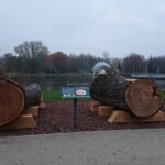 22.11.2020 Ostrowiec Świętokrzyski. Stacja edukacyjna - drugie życie drzewa / Emilia Sitarska / Radio Kielce