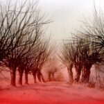 Plakat słuchowiska „Sienkiewicz. Ku Niepodległości” / Radio Rzeszów