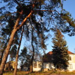 Park Miejski w Starachowicach / starachowice.eu