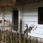 21.11.2020. Tokarnia. Skansen / Robert Felczak / Radio Kielce