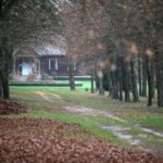 21.11.2020. Tokarnia. Skansen / Robert Felczak / Radio Kielce