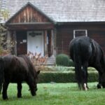 21.11.2020. Tokarnia. Skansen / Robert Felczak / Radio Kielce