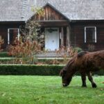 21.11.2020. Tokarnia. Skansen / Robert Felczak / Radio Kielce